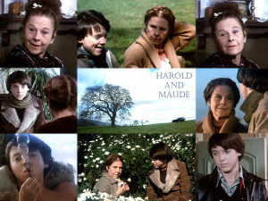 Harold and Maude