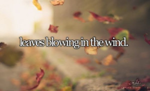 Leaves blowing in the wind
