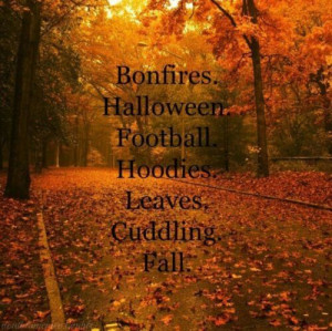 Bonfires. Halloween. Football. Hoodies. Leaves. Cuddling. Fall.
