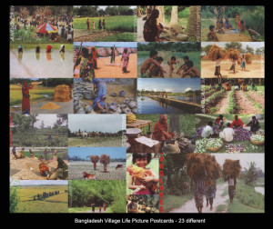 Bangladesh Village Life Postcards - 23 different