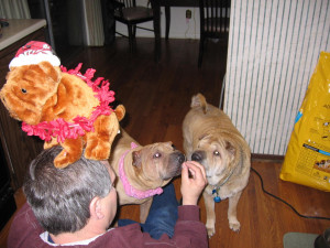 Dog Died Today Rip Wacky...