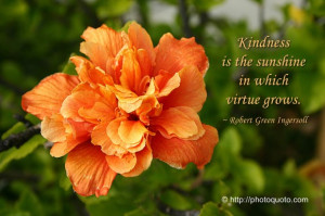 Kindness is the sunshine in which virtue grows.