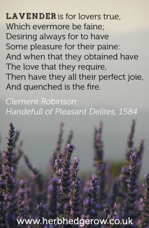 Herbal Quote Lavender Clement Robinson