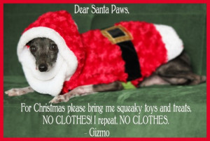 -Paws-Christmas-card-holiday-dog-pet-funny-hilarious-saying-sayings ...