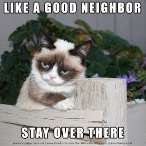 grumpy cat meme Grumpy Cat Like a good neighbor… 06.20.2013