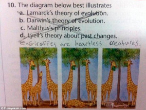 Weil ihm die vorgegebenen Antworten nicht gefielen, erfand dieser ...