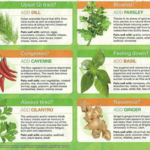 Using herbs and spices for health