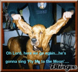 we go together like quotes