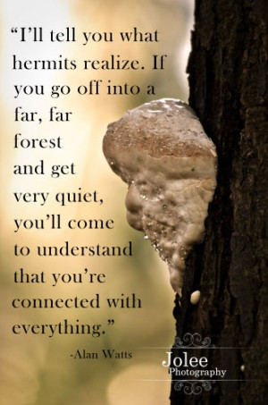 Huge Tree Fungus, Alan Watts Quote