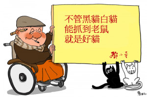 Black cat or white cat: If it can catch mice, it's a good cat