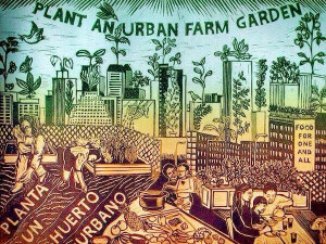 Plant an #urbanfarm garden.