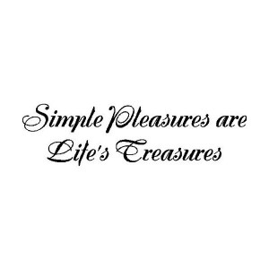 EYE CANDY SIGNS Simple Pleasures Are Life's Treasures Wall Quotes ...