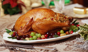 christmas turkey 1 turkey christmas turkey is being turkeys scientific ...