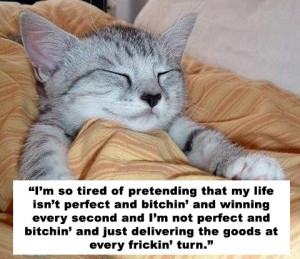 Kittens who Quote Charlie Sheen = Adorable insanity