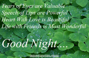 good night friendship picture sms facebook