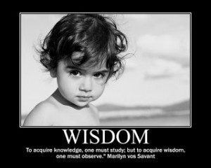 Wisdom - How Does One Find It?