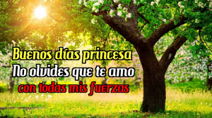 frases de buenos dias mi amor comparte frases de buenos dias mi amor