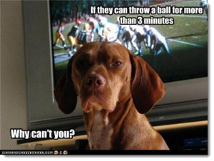 Members of the San Francisco 49ers grew moustaches this weekend to go ...