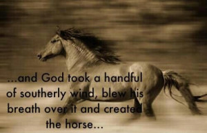 God created the horse
