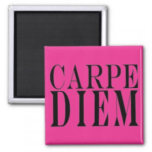 Carpe Diem Seize the Day Latin Quote Happiness Fridge Magnets from ...