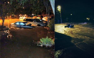 Omar Ahmed Ramzy Likes