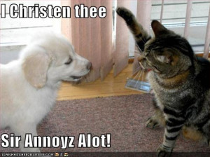 ... funny Facebook status, funny quotes, photos and funny timelime covers