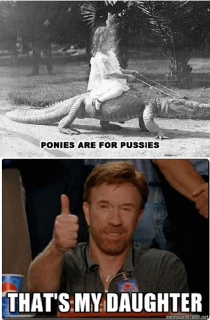 Funny photos funny Chuck Norris daughter riding crocodile pony