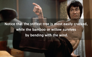 ... , while the bamboo or willow survives by bending with the wind