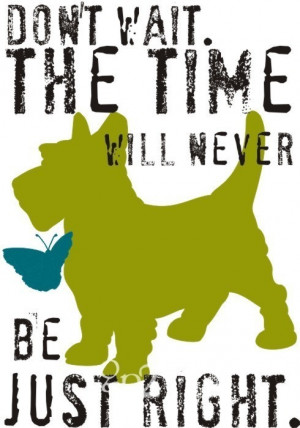 Scottish Terrier Print Quot