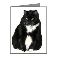 Helaine's Elvis the Cat Note Cards (Pk of 20) for