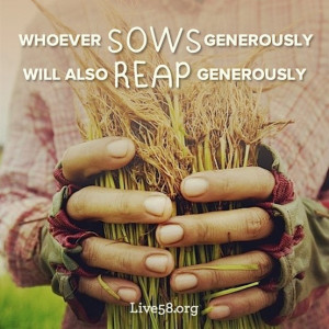 reap and sow