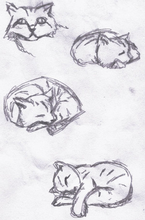 ... source ocelot t shirt wallpapers andcanvaslion,cute cartoon quotes