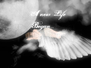 ... http://www.pics22.com/a-new-life-began-angel-quote/][img] [/img][/url
