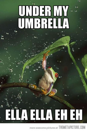 funny frog umbrella leaf rain
