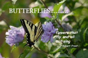 Personalized Butterfly kisses ladybug hugs girls wall quote decal ...