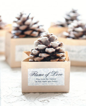 Pinecone Fire Starter Favors from My Own Ideas blog - I love this for ...