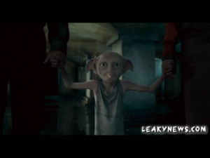 Dobby did not mean to kill! Possible mane, or seriously injure ...