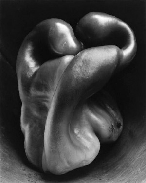 Edward Weston: 125 Photographs (Book Review)