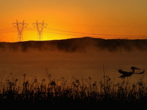 power-lines-power-station-energy-nuclear-sun-set-pond.jpg