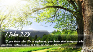john_2_29___bible_verse_quote_by_bible_quote-d7yw768.jpg