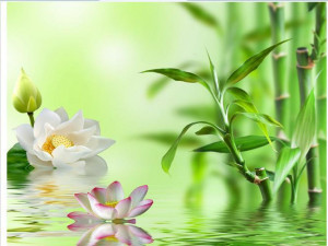papel de parede Reflection in the water lotus bamboo 3d wallpaper