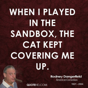 When I played in the sandbox, the cat kept covering me up.