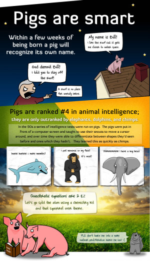 reason why pigs are more awesome than you