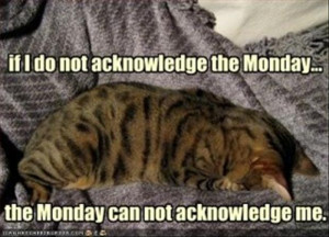 do not look at monday, funny monday pictures