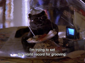 47 Reasons Salem From ‘Sabrina The Teenage Witch’ Is Your Spirit ...