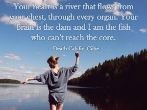 quotes love frequency love death cab for cutie