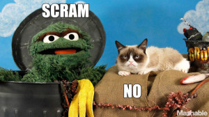 Oscar the Grouch Meets Grumpy Cat