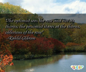 The optimist sees the rose and not its thorns; the pessimist stares at ...