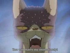 Princess Tutu. I have no idea what possessed me to watch this anime ...