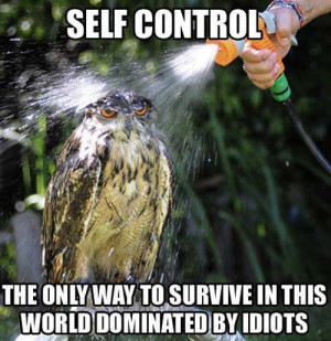 self control owl